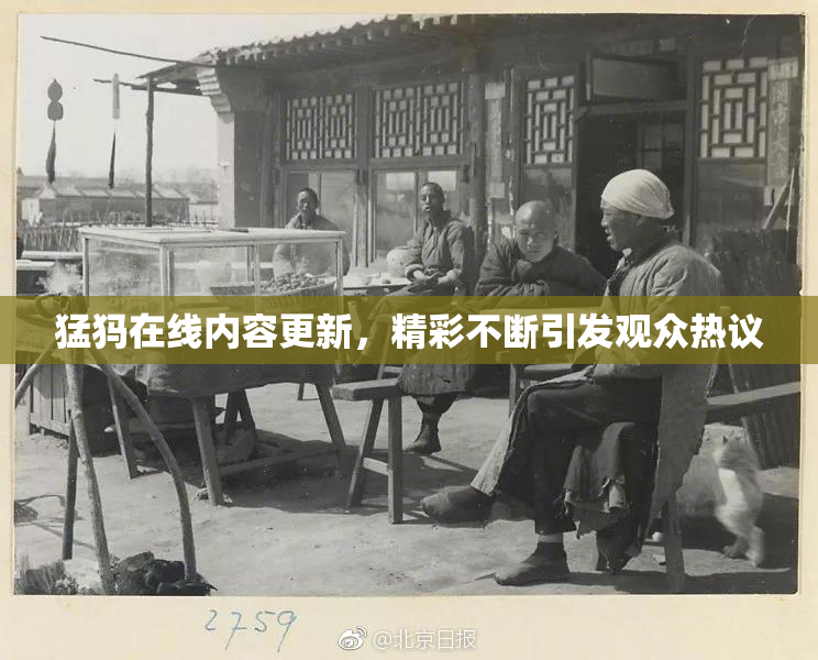 猛犸在线内容更新，精彩不断引发观众热议