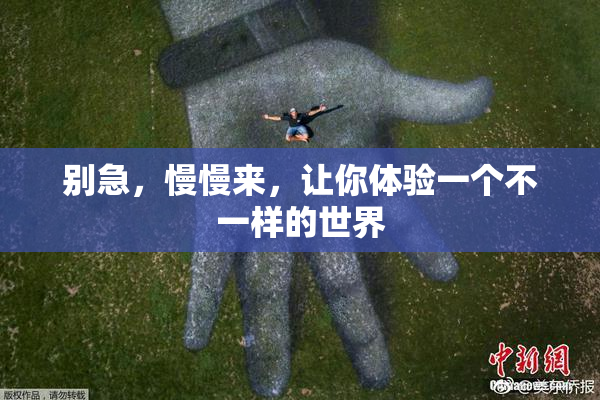别急，慢慢来，让你体验一个不一样的世界