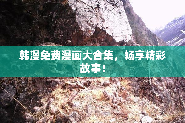 韩漫免费漫画大合集，畅享精彩故事！