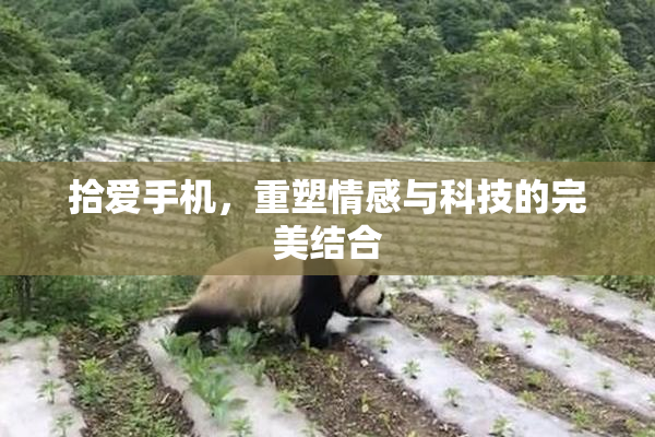 拾爱手机，重塑情感与科技的完美结合