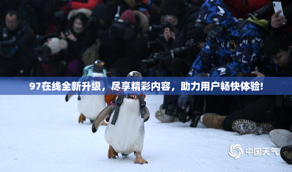 97在线全新升级，尽享精彩内容，助力用户畅快体验!