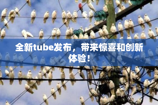 全新tube发布，带来惊喜和创新体验！