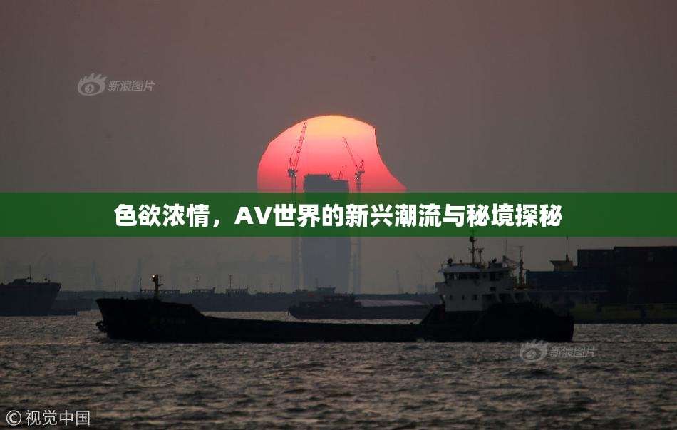 色欲浓情，AV世界的新兴潮流与秘境探秘