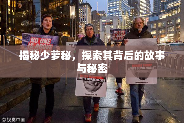 揭秘少萝秘，探索其背后的故事与秘密