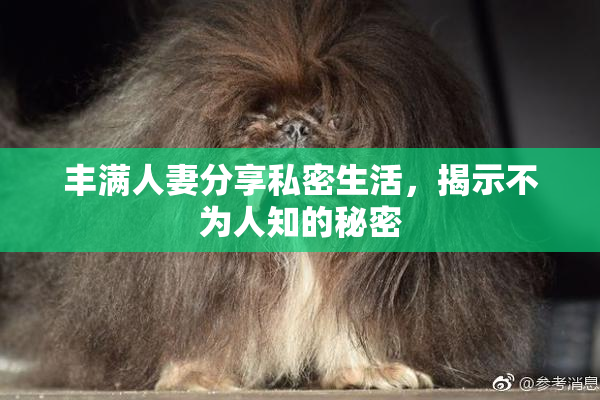 丰满人妻分享私密生活，揭示不为人知的秘密
