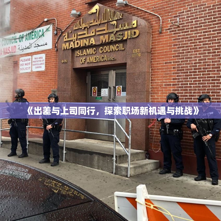 《出差与上司同行，探索职场新机遇与挑战》
