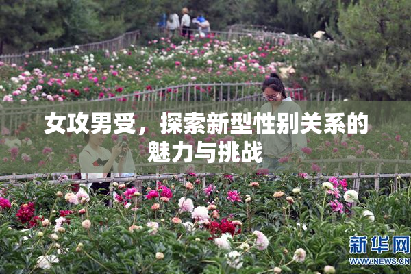 女攻男受，探索新型性别关系的魅力与挑战
