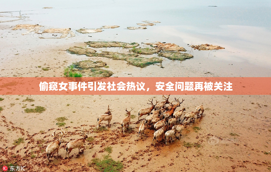 偷窥女事件引发社会热议，安全问题再被关注