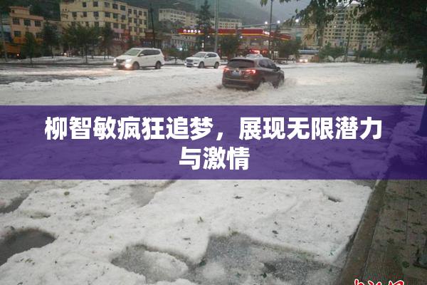 柳智敏疯狂追梦，展现无限潜力与激情