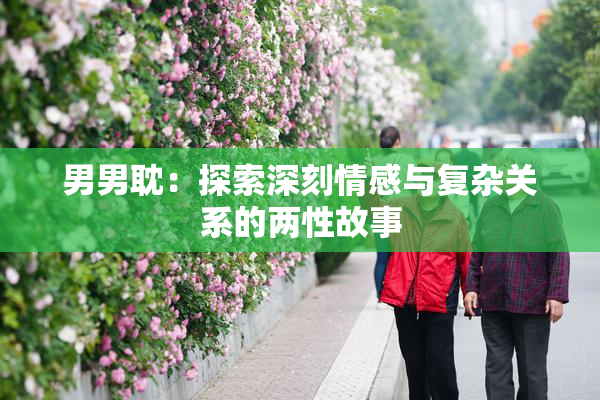 男男耽：探索深刻情感与复杂关系的两性故事