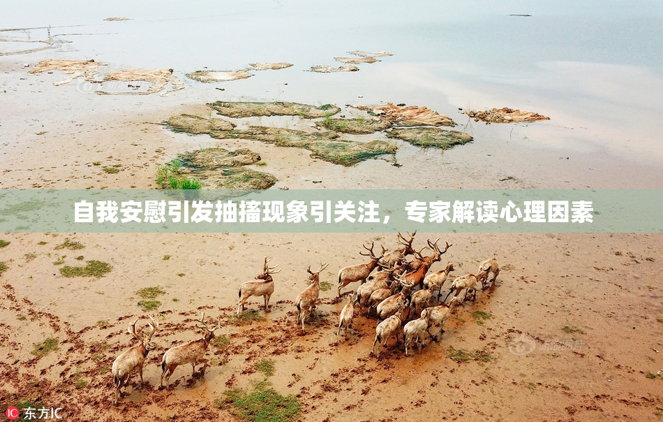 自我安慰引发抽搐现象引关注，专家解读心理因素