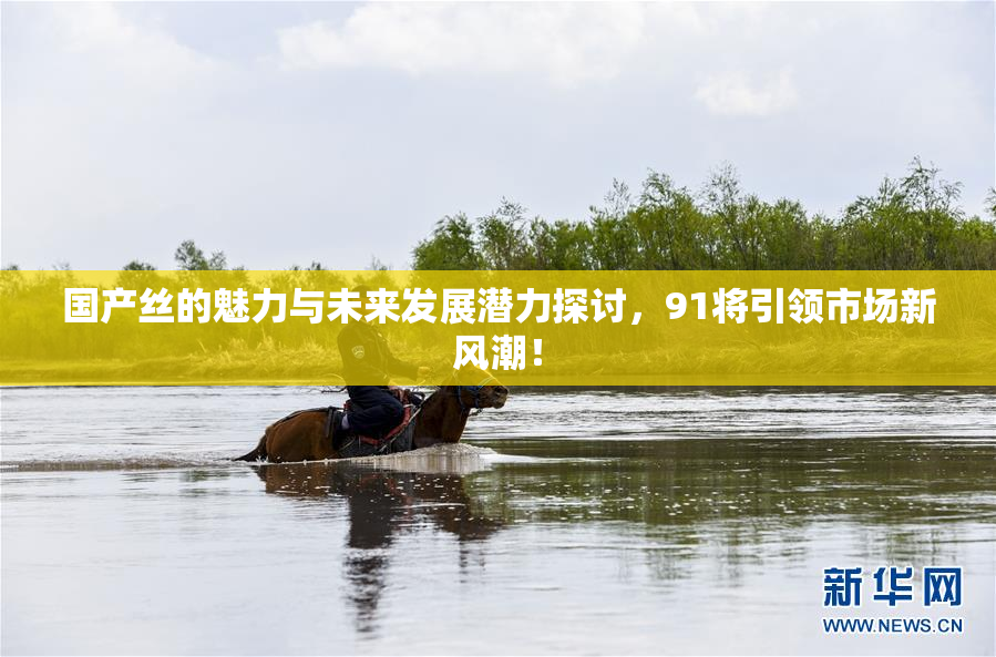 国产丝的魅力与未来发展潜力探讨，91将引领市场新风潮！
