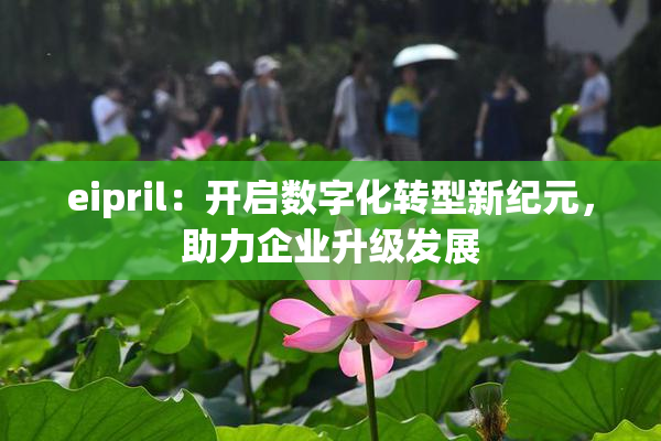 eipril：开启数字化转型新纪元，助力企业升级发展