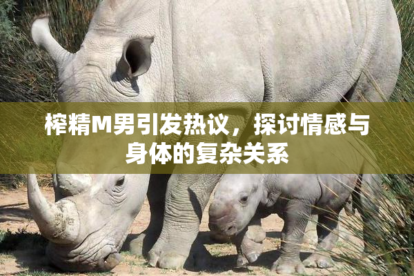 榨精M男引发热议，探讨情感与身体的复杂关系