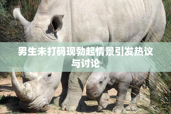 男生未打码现勃起情景引发热议与讨论