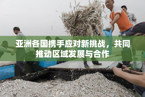 亚洲各国携手应对新挑战，共同推动区域发展与合作