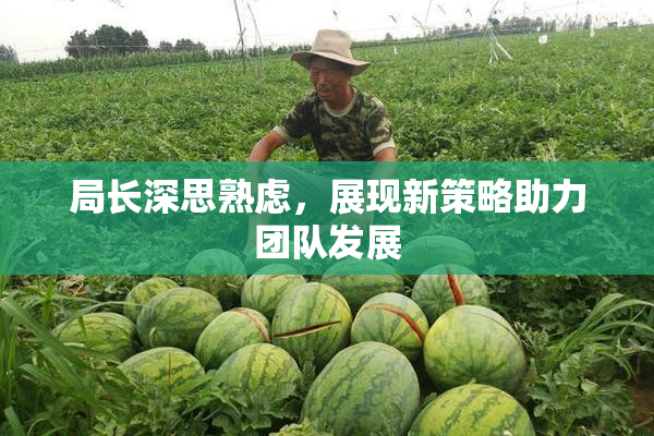局长深思熟虑，展现新策略助力团队发展
