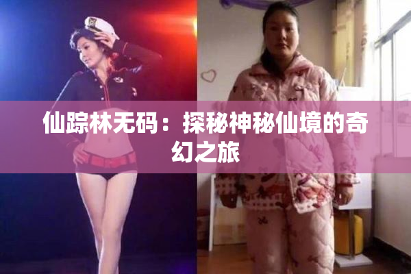 仙踪林无码：探秘神秘仙境的奇幻之旅