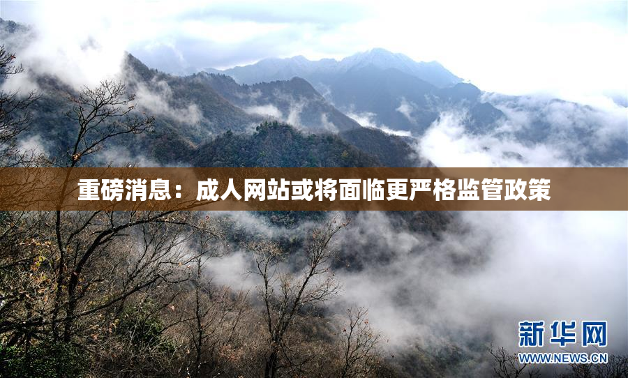 重磅消息：成人网站或将面临更严格监管政策