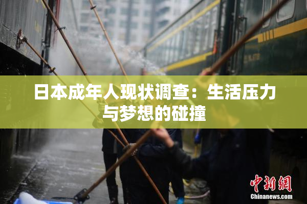 日本成年人现状调查：生活压力与梦想的碰撞