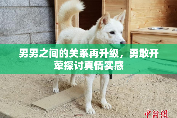 男男之间的关系再升级，勇敢开荤探讨真情实感