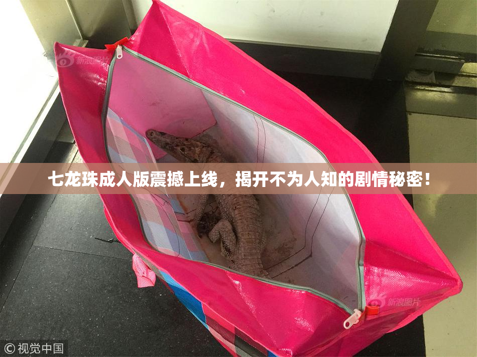 七龙珠成人版震撼上线，揭开不为人知的剧情秘密！