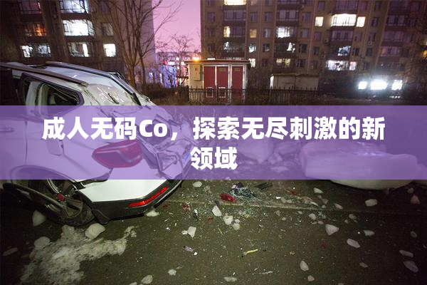成人无码Co，探索无尽刺激的新领域