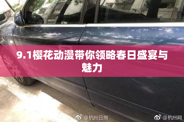 9.1樱花动漫带你领略春日盛宴与魅力