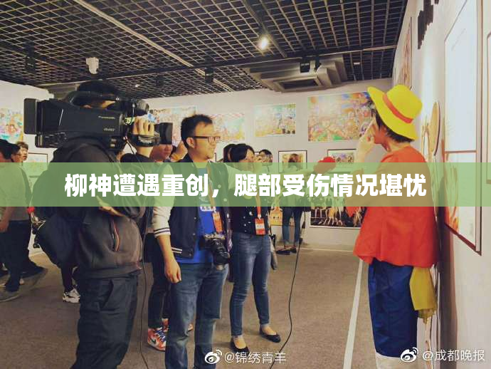 柳神遭遇重创，腿部受伤情况堪忧