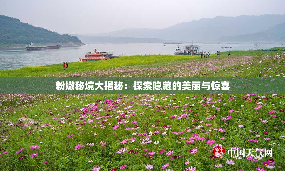 粉嫩秘境大揭秘：探索隐藏的美丽与惊喜