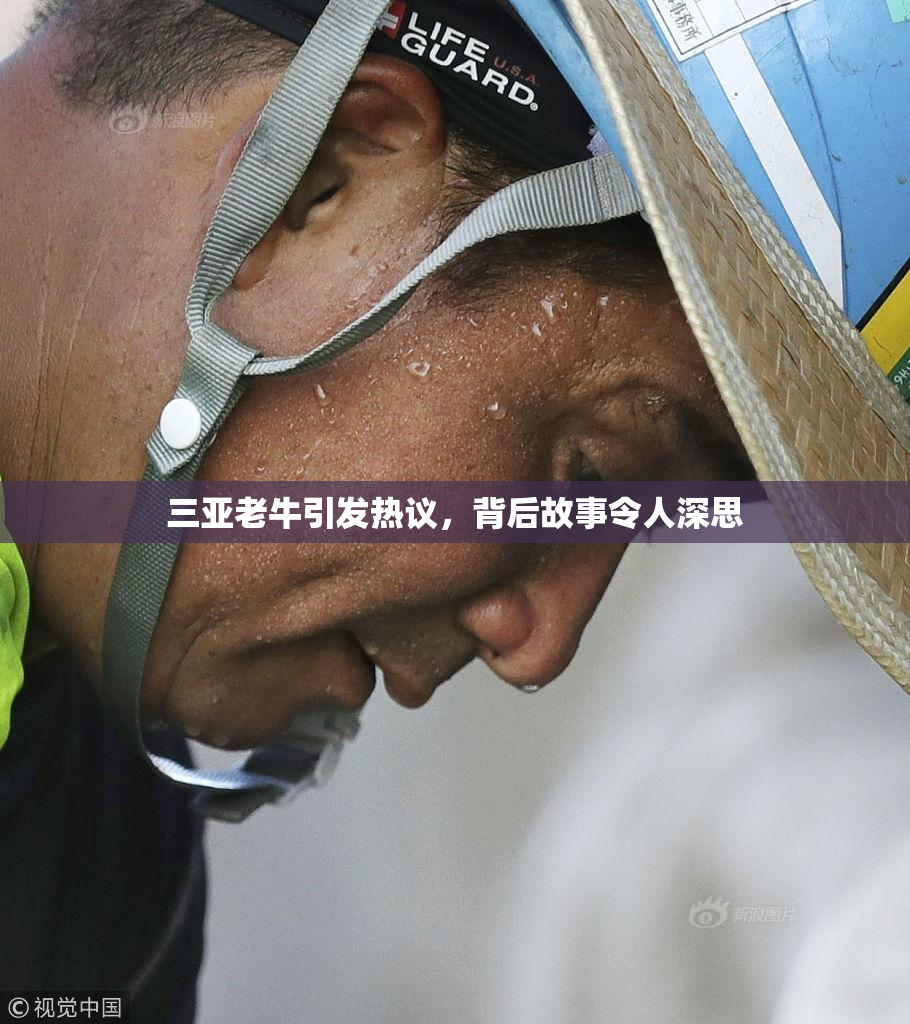 三亚老牛引发热议，背后故事令人深思