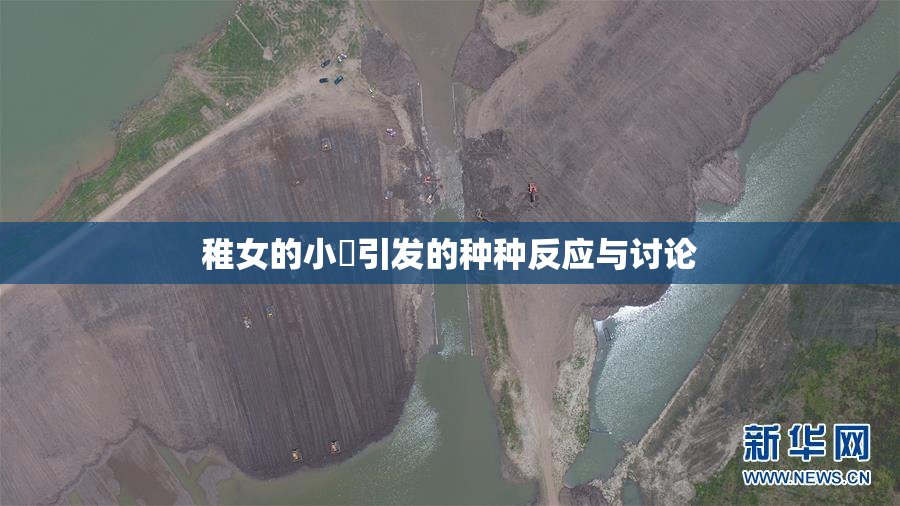 稚女的小泬引发的种种反应与讨论