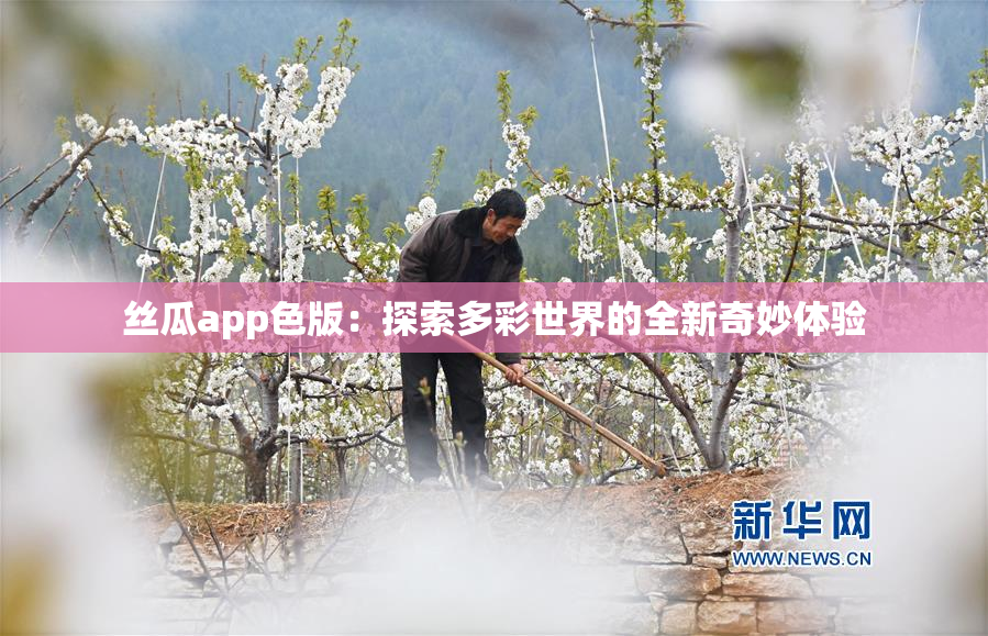 丝瓜app色版：探索多彩世界的全新奇妙体验