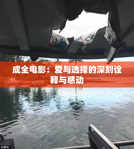 成全电影：爱与选择的深刻诠释与感动