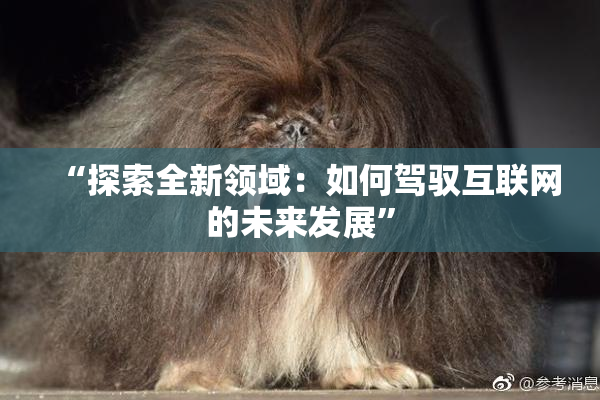 “探索全新领域：如何驾驭互联网的未来发展”