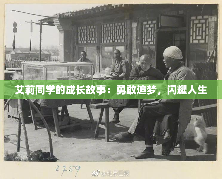 艾莉同学的成长故事：勇敢追梦，闪耀人生