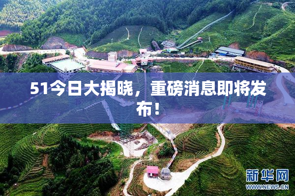 51今日大揭晓，重磅消息即将发布！