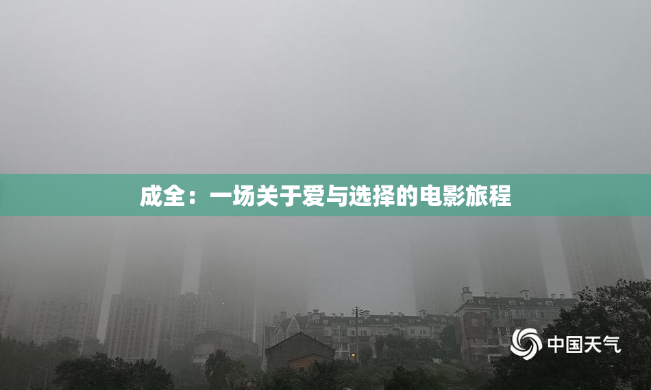成全：一场关于爱与选择的电影旅程