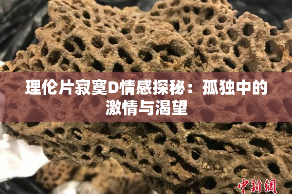 理伦片寂寞D情感探秘：孤独中的激情与渴望