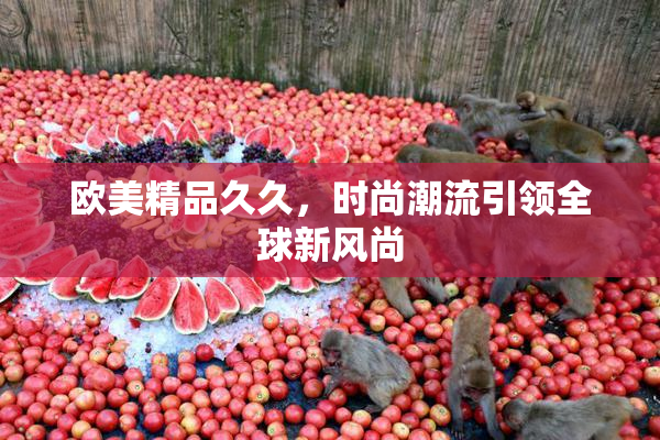 欧美精品久久，时尚潮流引领全球新风尚