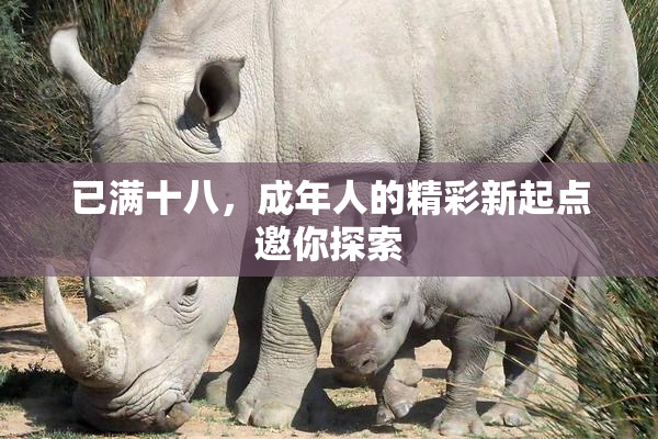 已满十八，成年人的精彩新起点邀你探索