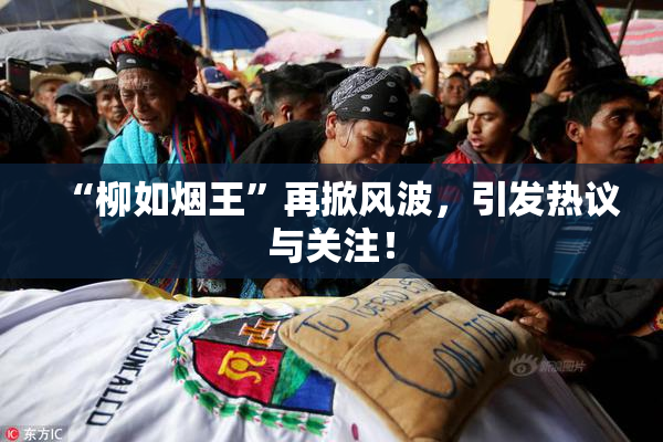 “柳如烟王”再掀风波，引发热议与关注！