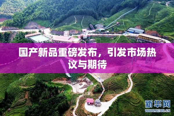 国产新品重磅发布，引发市场热议与期待
