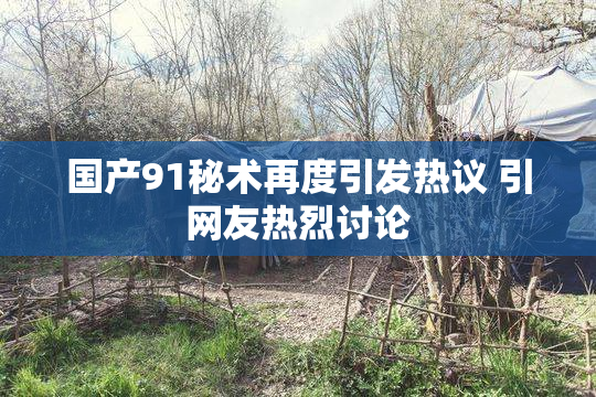 国产91秘术再度引发热议 引网友热烈讨论