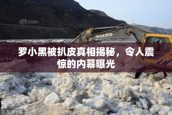 罗小黑被扒皮真相揭秘，令人震惊的内幕曝光