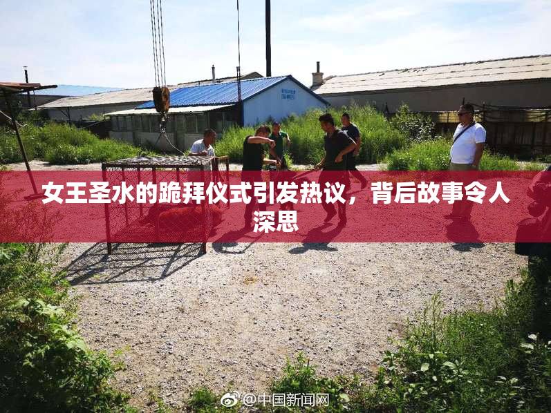 女王圣水的跪拜仪式引发热议，背后故事令人深思