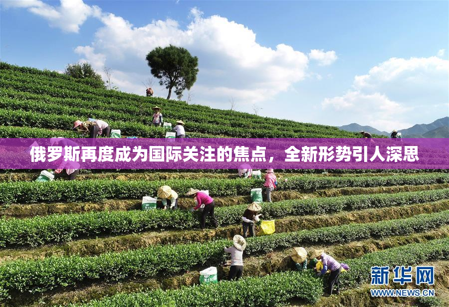 俄罗斯再度成为国际关注的焦点，全新形势引人深思