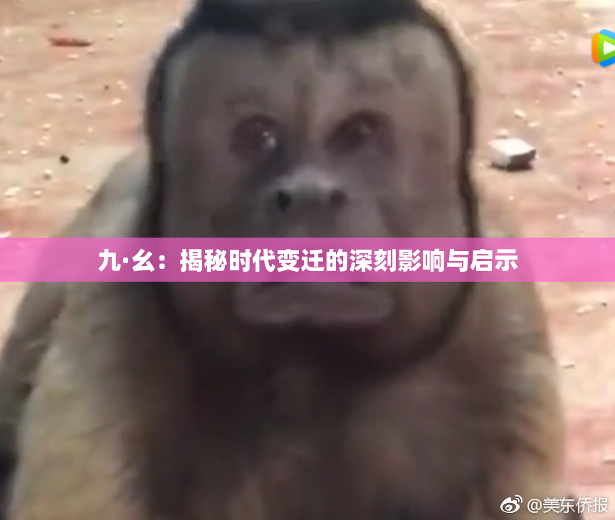 九·幺：揭秘时代变迁的深刻影响与启示