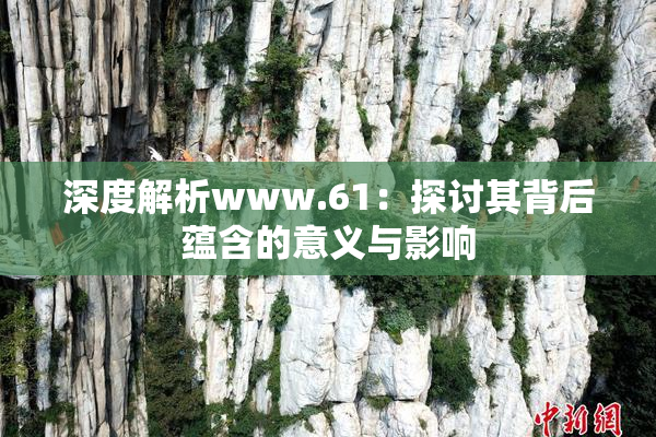 深度解析www.61：探讨其背后蕴含的意义与影响