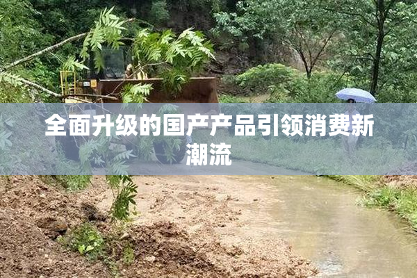 全面升级的国产产品引领消费新潮流